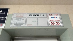 Blk 114 Teck Whye Lane (Choa Chu Kang), HDB 4 Rooms #564697571